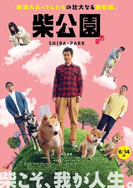 纲手对鸣人的惩罚